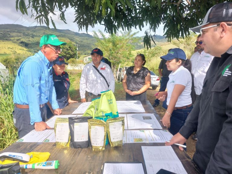 Evalúan Innovador Plan Piloto para Reimpulsar la Producción Citrícola en Nirgua