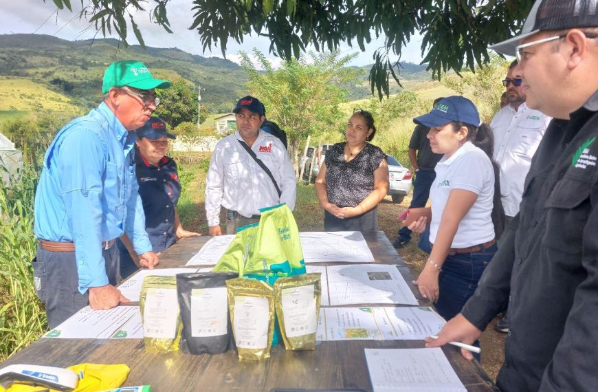 Evalúan Innovador Plan Piloto para Reimpulsar la Producción Citrícola en Nirgua