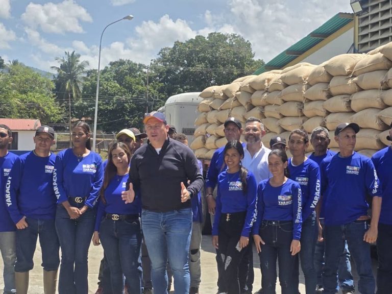 Yaracuy consolida la segunda exportación de café verde conquistando el mercado internacional